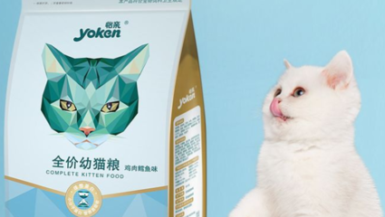 怡親貓糧成分解析 關于誘食劑與谷物添加的真相