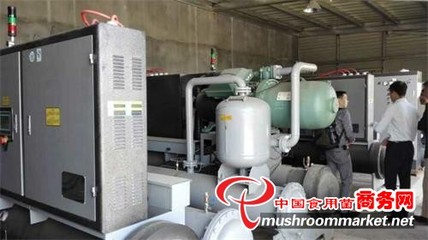 浙江 青風環境設備助力食用菌工廠化生產，推動產業現代化升級